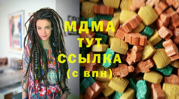 индика Киреевск